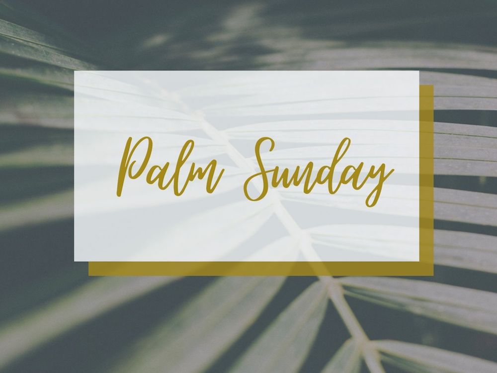 Palm Sunday 2020 Image