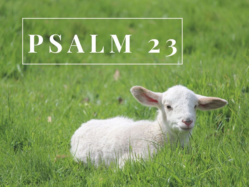 Psalm 23 (Week 2)